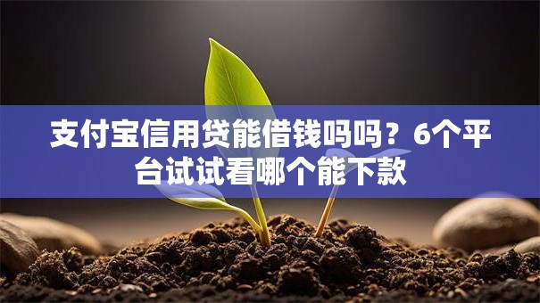 支付宝信用贷能借钱吗吗？6个平台试试看哪个能下款