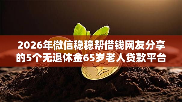2026年微信稳稳帮借钱网友分享的5个无退休金65岁老人贷款平台我觉得不错！
