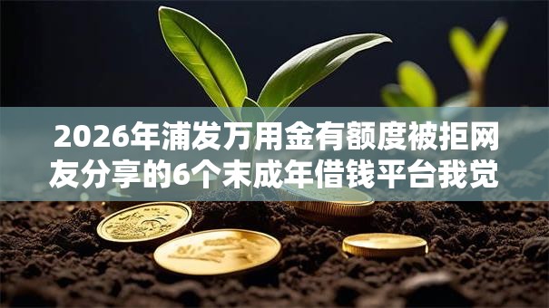 2026年浦发万用金有额度被拒网友分享的6个末成年借钱平台我觉得不错！