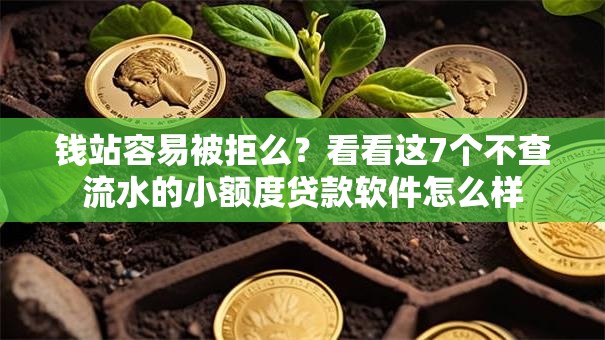 钱站容易被拒么？看看这7个不查流水的小额度贷款软件怎么样