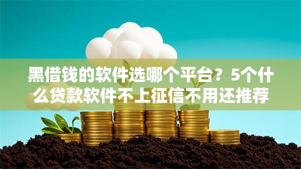 黑借钱的软件选哪个平台?5个什么贷款软件不上征信不用还推荐 黑借钱的软件选哪个平台?5个什么贷款软件不上征信不用还推荐