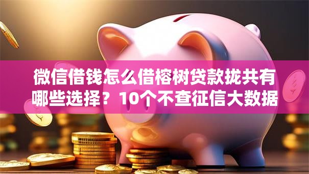 微信借钱怎么借榕树贷款拢共有哪些选择？10个不查征信大数据的借款平台百分百通过详解