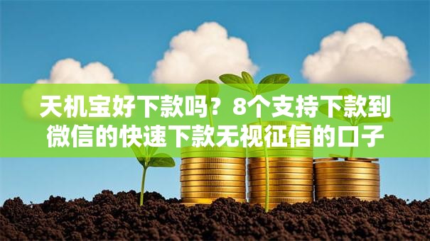 天机宝好下款吗？8个支持下款到微信的快速下款无视征信的口子