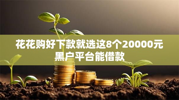 花花购好下款就选这8个20000元黑户平台能借款
