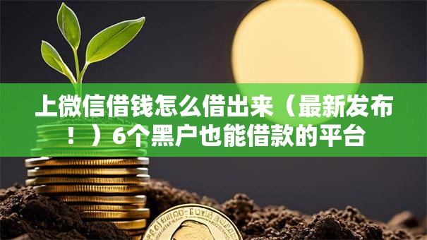 上微信借钱怎么借出来（最新发布！）6个黑户也能借款的平台