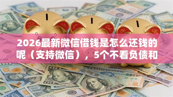 2026最新微信借钱是怎么还钱的呢（支持微信），5个不看负债和征信的口子无私分享