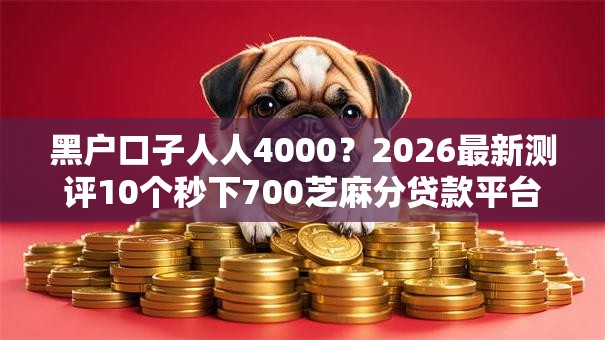 黑户口子人人4000？2026最新测评10个秒下700芝麻分贷款平台