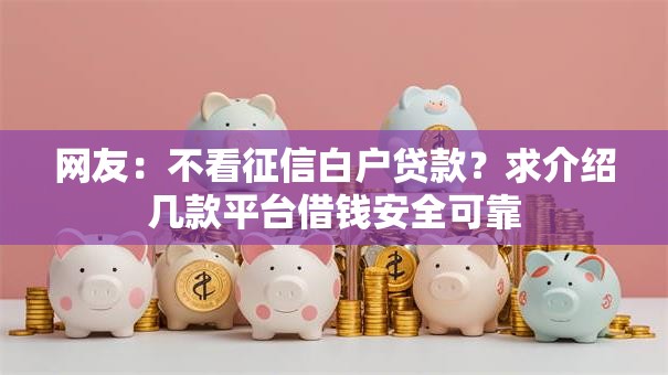 网友：不看征信白户贷款？求介绍几款平台借钱安全可靠