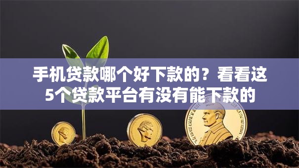 手机贷款哪个好下款的？看看这5个贷款平台有没有能下款的
