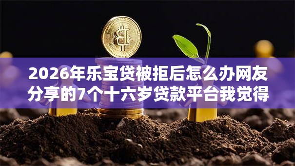 2026年乐宝贷被拒后怎么办网友分享的7个十六岁贷款平台我觉得不错！
