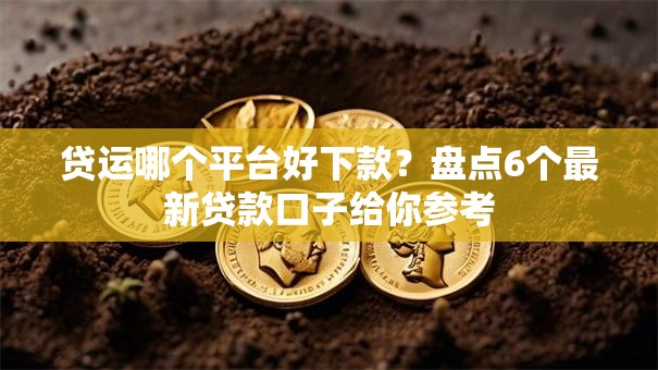 贷运哪个平台好下款？盘点6个最新贷款口子给你参考