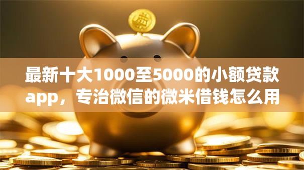 最新十大1000至5000的小额贷款app，专治微信的微米借钱怎么用