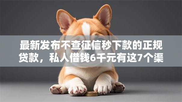 最新发布不查征信秒下款的正规贷款，私人借钱6千元有这7个渠道