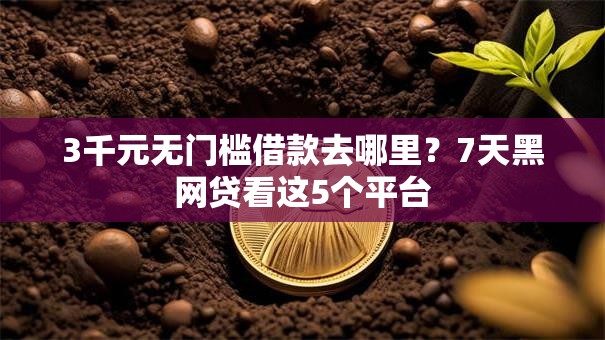 3千元无门槛借款去哪里？7天黑网贷看这5个平台