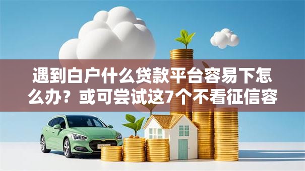 遇到白户什么贷款平台容易下怎么办?或可尝试这7个不看征信容易通过的贷款平台 遇到白户什么贷款平台容易下怎么办?或可尝试这7个不看征信容易通过的贷款平台