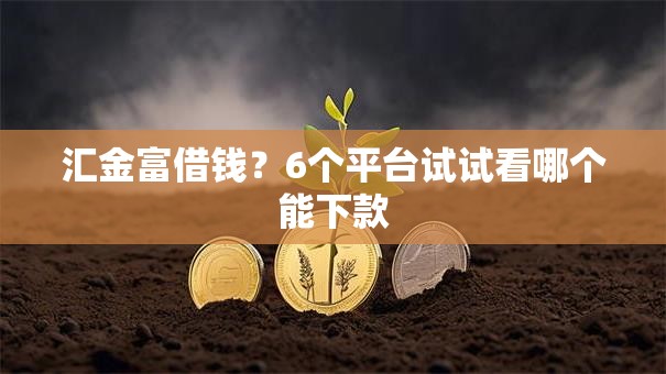 汇金富借钱?6个平台试试看哪个能下款 汇金富借钱?6个平台试试看哪个能下款