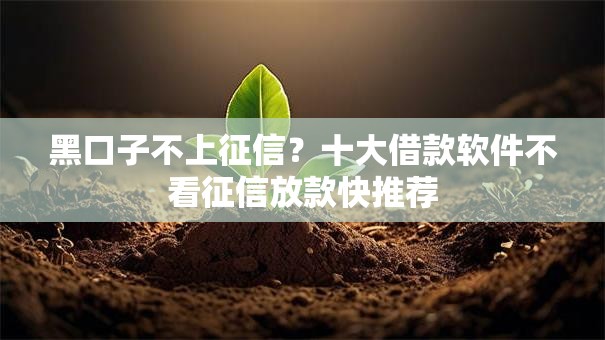 黑口子不上征信？十大借款软件不看征信放款快推荐
