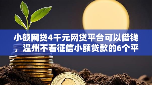 小额网贷4千元网贷平台可以借钱，温州不看征信小额贷款的6个平台介绍