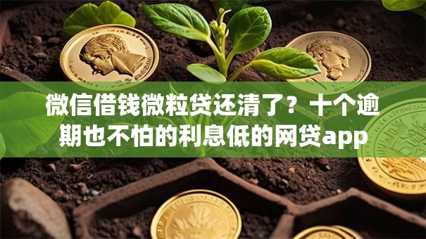 微信借钱微粒贷还清了？十个逾期也不怕的利息低的网贷app