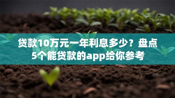贷款10万元一年利息多少？盘点5个能贷款的app给你参考