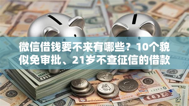 微信借钱要不来有哪些？10个貌似免审批、21岁不查征信的借款平台百分百通过合集