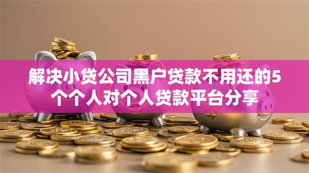 解决小贷公司黑户贷款不用还的5个个人对个人贷款平台分享