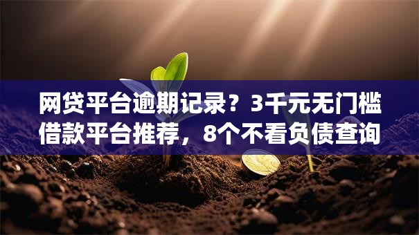 网贷平台逾期记录？3千元无门槛借款平台推荐，8个不看负债查询的app盘点