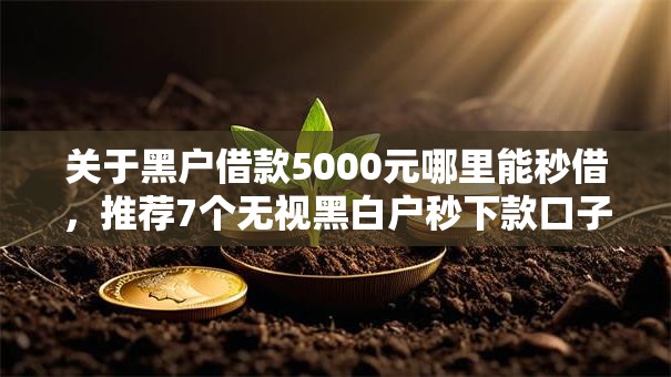 关于黑户借款5000元哪里能秒借，推荐7个无视黑白户秒下款口子软件给你