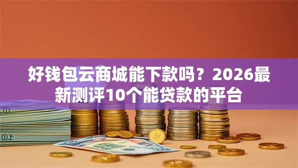 好钱包云商城能下款吗？2026最新测评10个能贷款的平台