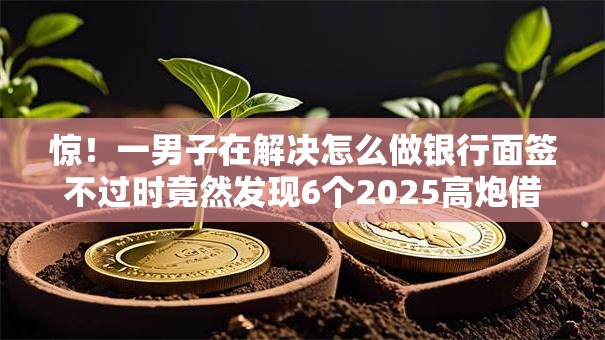 惊！一男子在解决怎么做银行面签不过时竟然发现6个2025高炮借款平台黑口子链接，事后分享了出来