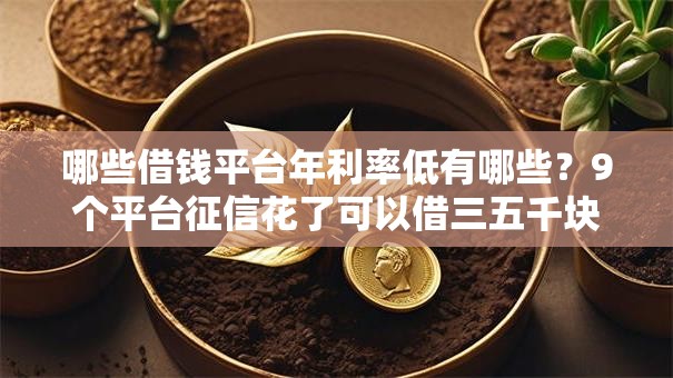 哪些借钱平台年利率低有哪些？9个平台征信花了可以借三五千块钱推荐给你
