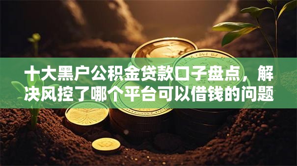 十大黑户公积金贷款口子盘点，解决风控了哪个平台可以借钱的问题