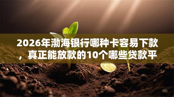 2026年渤海银行哪种卡容易下款，真正能放款的10个哪些贷款平台不上征信推荐