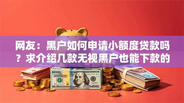 网友：黑户如何申请小额度贷款吗？求介绍几款无视黑户也能下款的口子