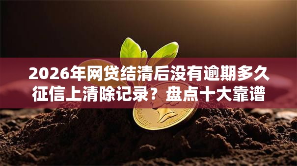 2026年网贷结清后没有逾期多久征信上清除记录？盘点十大靠谱最可靠的贷款平台
