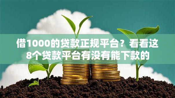 借1000的贷款正规平台？看看这8个贷款平台有没有能下款的