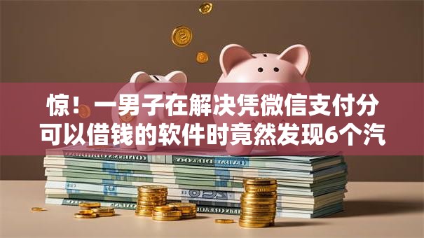 惊！一男子在解决凭微信支付分可以借钱的软件时竟然发现6个汽车贷款平台排名不分先后前十，事后分享了出来