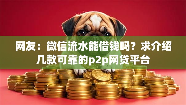 网友：微信流水能借钱吗？求介绍几款可靠的p2p网贷平台