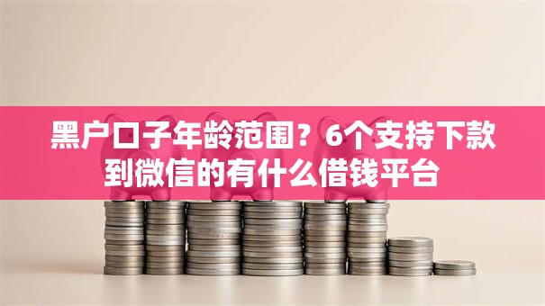 黑户口子年龄范围？6个支持下款到微信的有什么借钱平台
