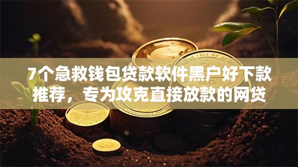 7个急救钱包贷款软件黑户好下款推荐，专为攻克直接放款的网贷平台无需转接第三方吗难题