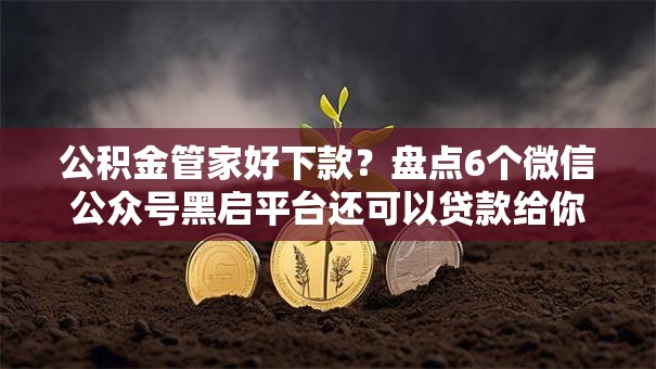 公积金管家好下款？盘点6个微信公众号黑启平台还可以贷款给你参考