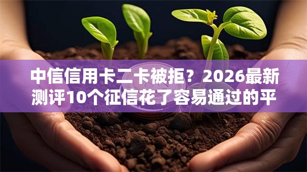 中信信用卡二卡被拒？2026最新测评10个征信花了容易通过的平台借款