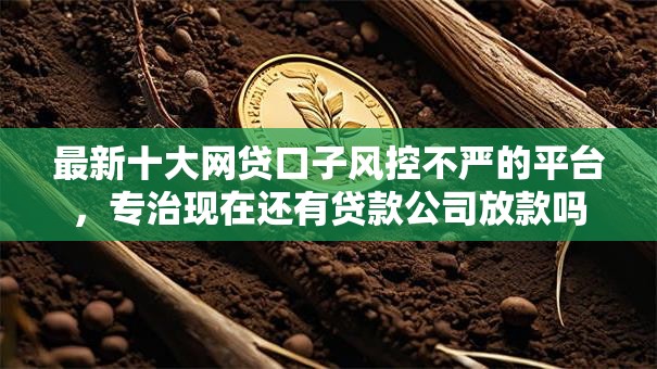 最新十大网贷口子风控不严的平台，专治现在还有贷款公司放款吗