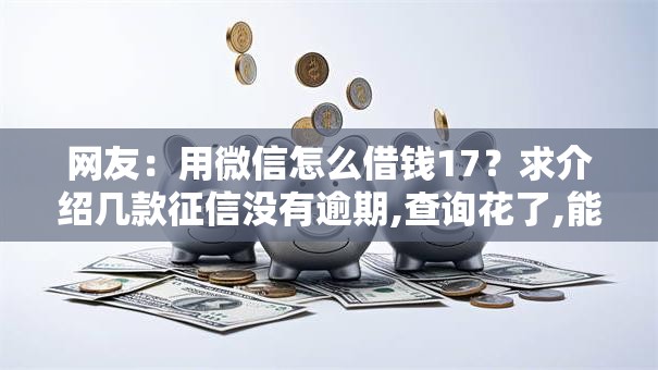 网友：用微信怎么借钱17？求介绍几款征信没有逾期,查询花了,能贷款的平台