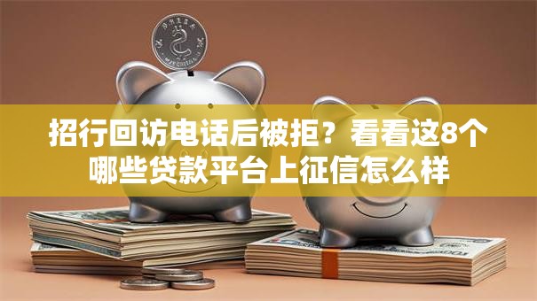 招行回访电话后被拒？看看这8个哪些贷款平台上征信怎么样
