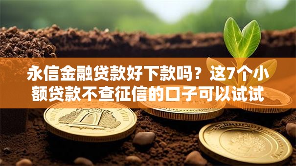 永信金融贷款好下款吗？这7个小额贷款不查征信的口子可以试试