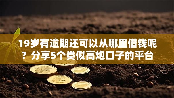 19岁有逾期还可以从哪里借钱呢?分享5个类似高炮口子的平台 19岁有逾期还可以从哪里借钱呢?分享5个类似高炮口子的平台