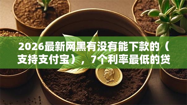 2026最新网黑有没有能下款的（支持支付宝），7个利率最低的贷款平台无私分享