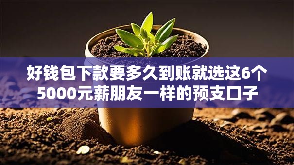 好钱包下款要多久到账就选这6个5000元薪朋友一样的预支口子