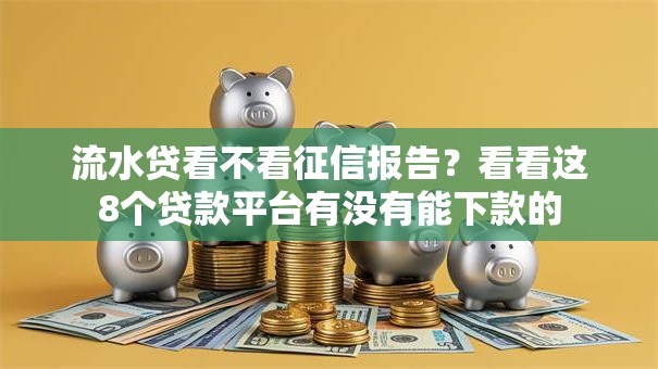流水贷看不看征信报告？看看这8个贷款平台有没有能下款的